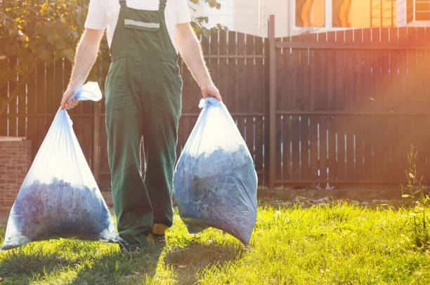 Best Basement Cleanout Services  in Taos, NM