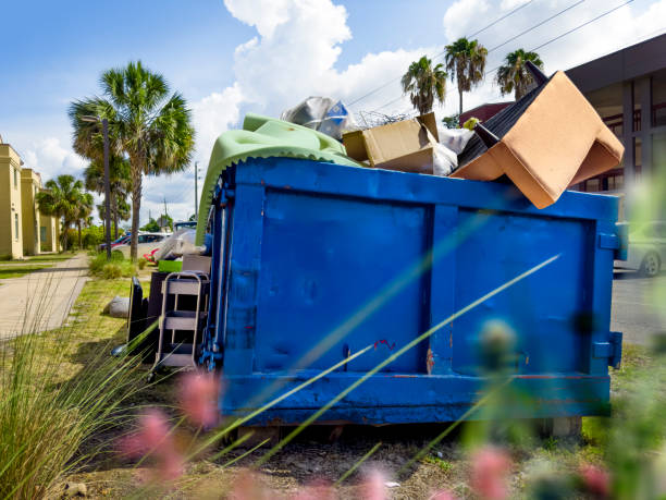 Best Basement Cleanout Services  in Taos, NM